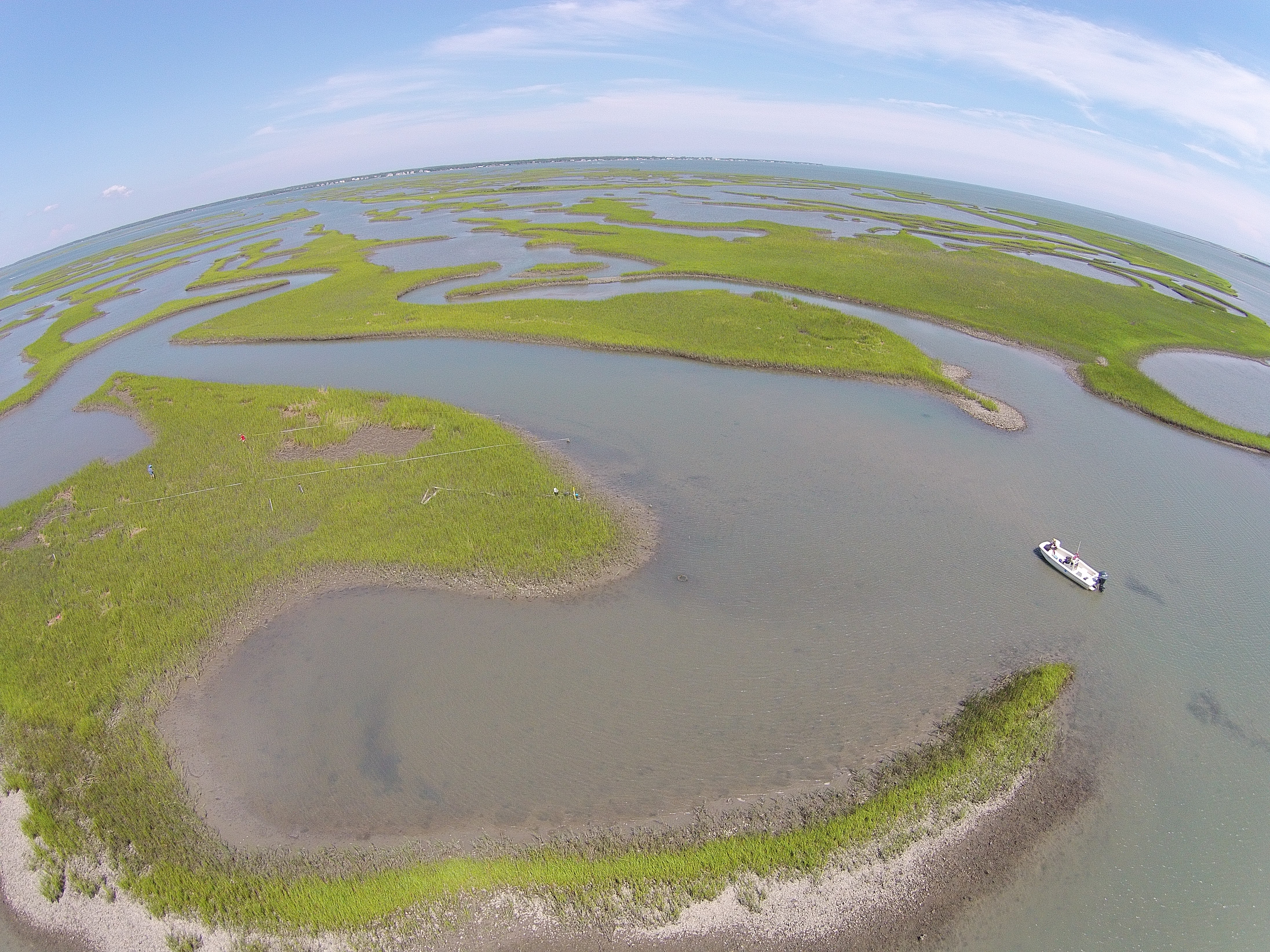 N.C. Coastal Reserve
